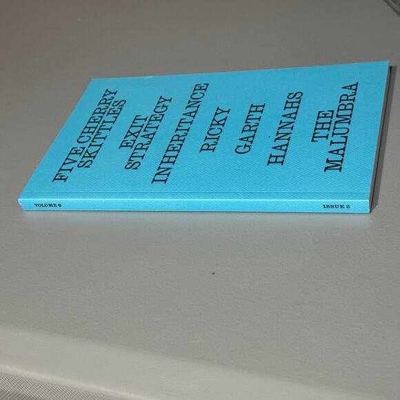 152. "Volume 0: Issue 2," a collection of short stories by various authors EUC - Picture 4 of 4